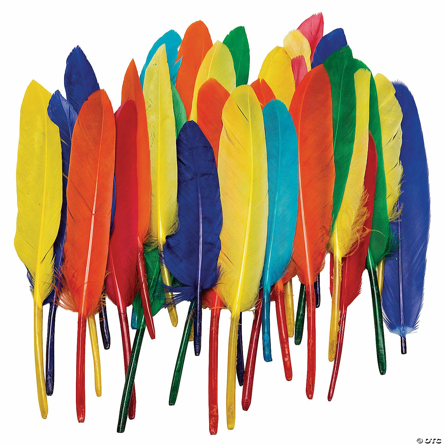 Flash Sale π Creativity Street Duck Quills, Assorted Colors, 3" to 5", 14 grams Per Pack, 6 Packs π - Image 2